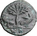 1794R Mezzo follis da 20 nummi 526-534 Albero tra due aquile Roma Bronzo