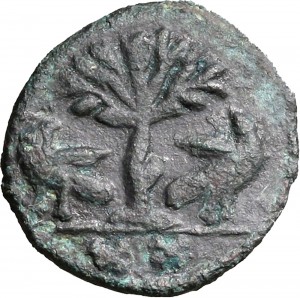 1794R Mezzo follis da 20 nummi 526-534 Albero tra due aquile Roma Bronzo